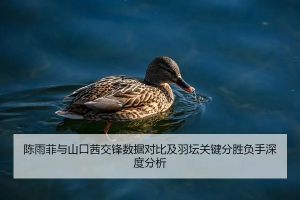 陈雨菲与山口茜交锋数据对比及羽坛关键分胜负手深度分析